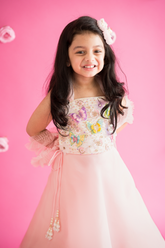 Pink organza lehenga and butterfly top set